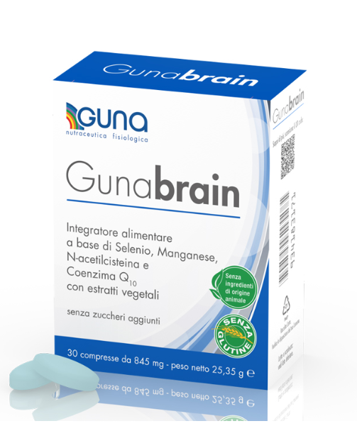 GUNA BRAIN