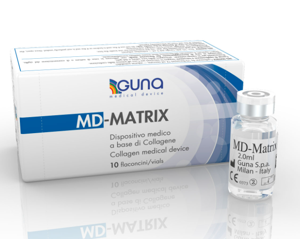 MD MATRIX 10 AMP