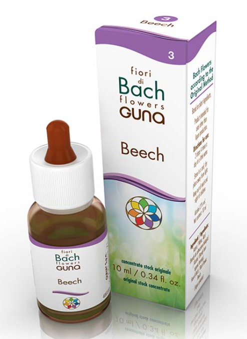 BEECH