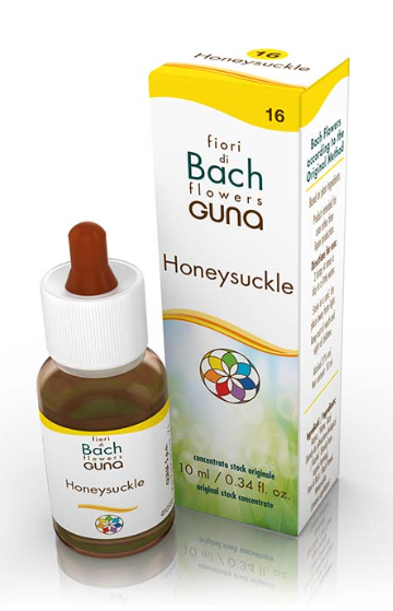 HONEYSUCKLE