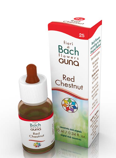 RED CHESTNUT