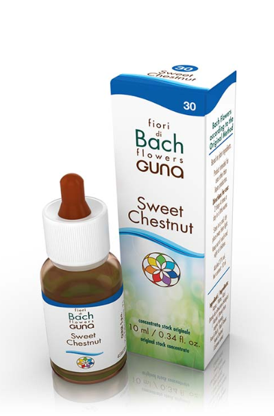 SWEET CHESTNUT
