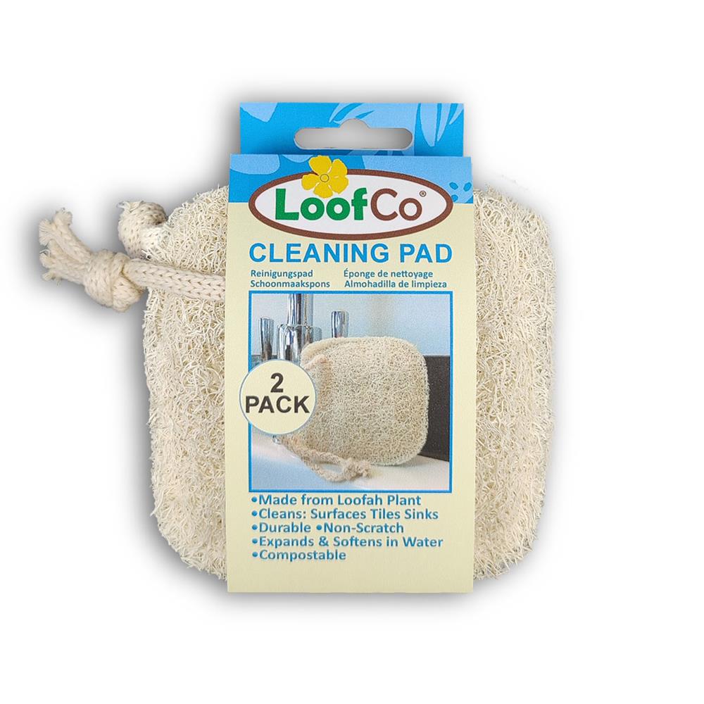 Cleaning Pad 2-pack