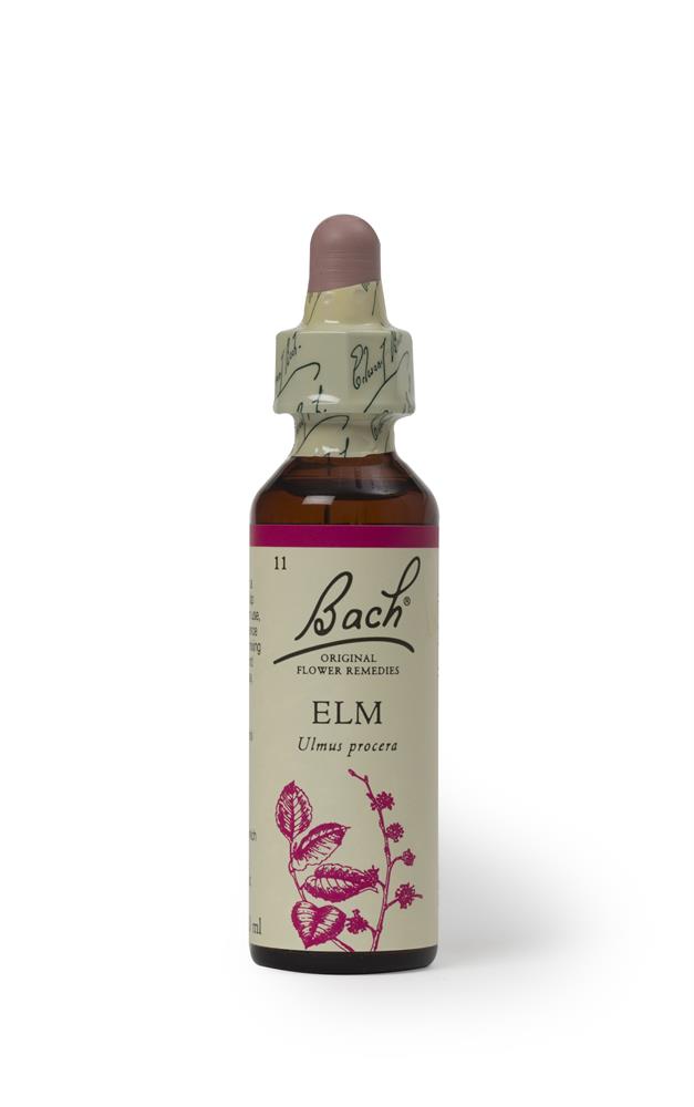Bach Original Flower Elm
