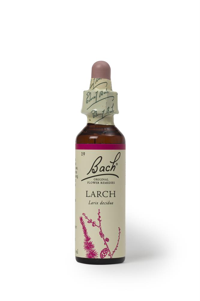 Bach Original Flower Larch