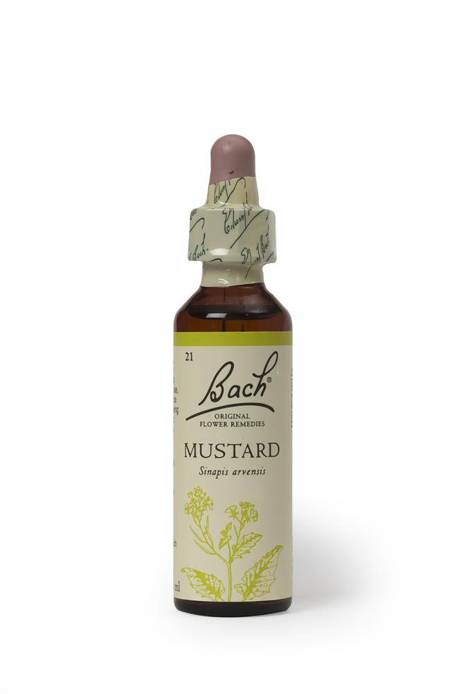 Bach Original Flower Mustard