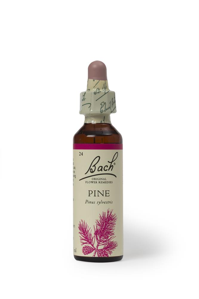 Bach Original Flower Pine