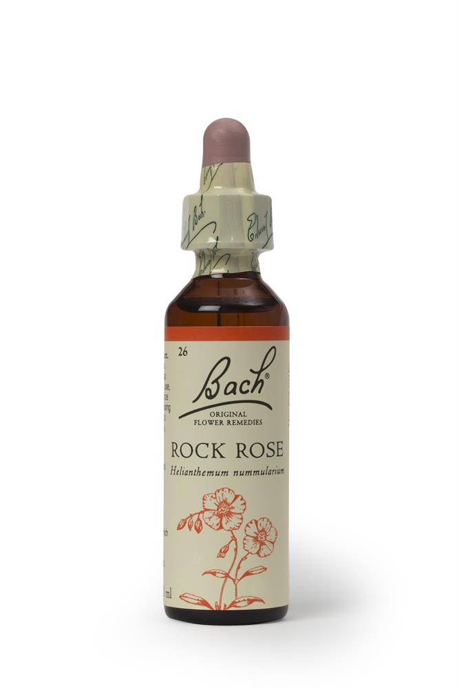 Rock Rose