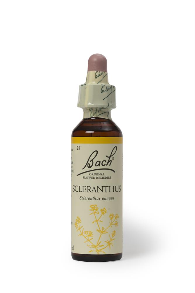 Bach Original Scleranthus