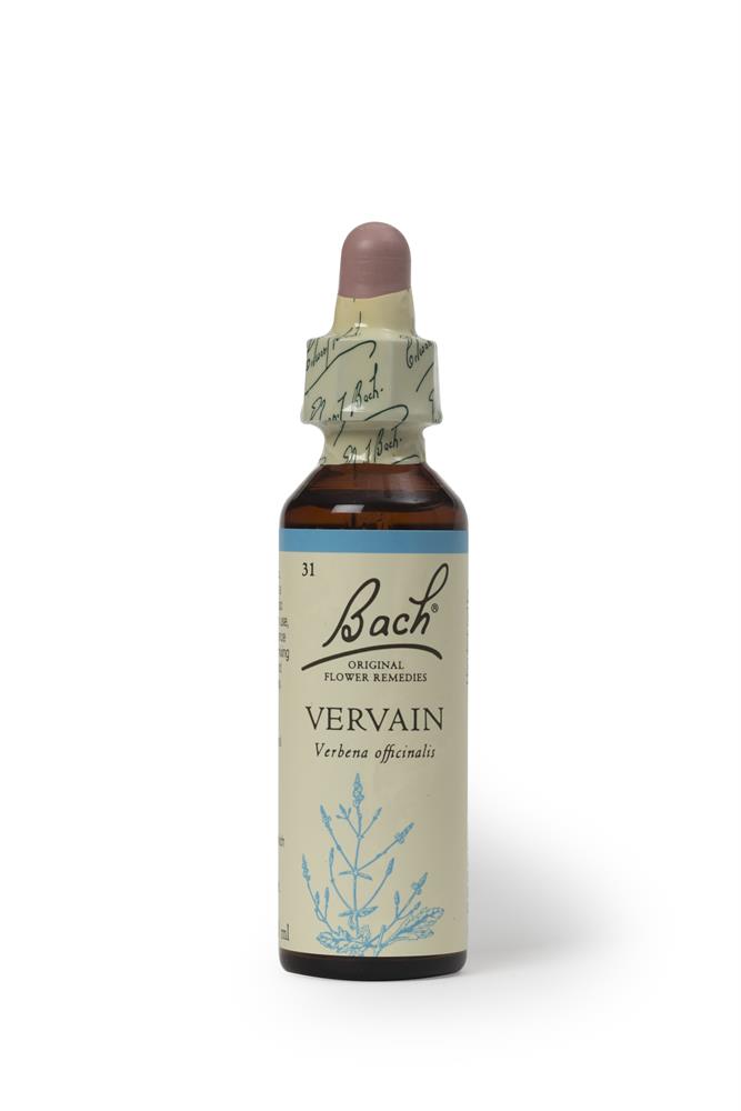 Vervain