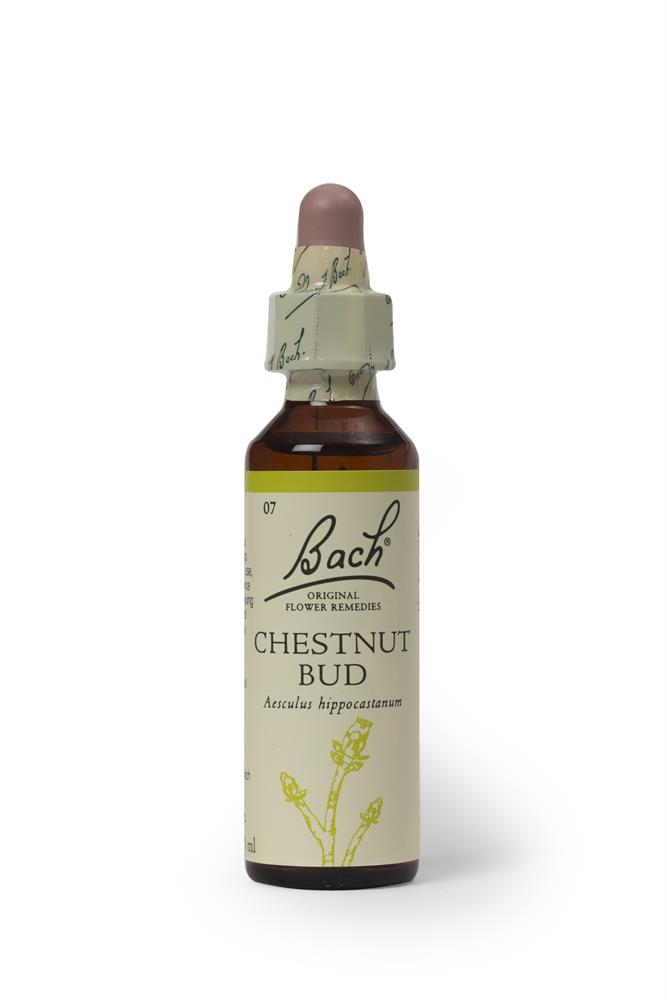 Bach Original Chestnut Bud