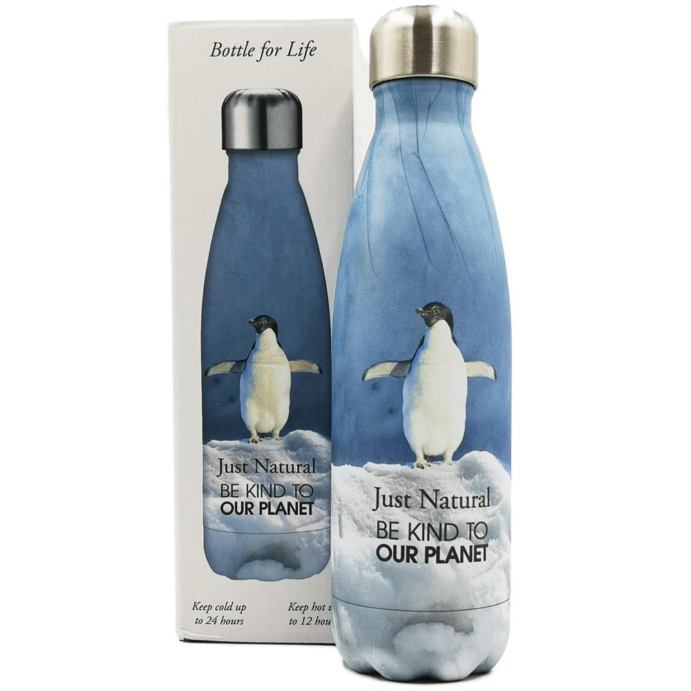 S/Steel Drink Bottle Penguin