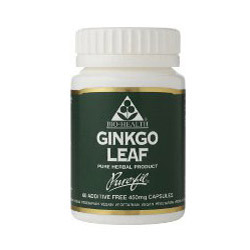 Ginkgo Leaf