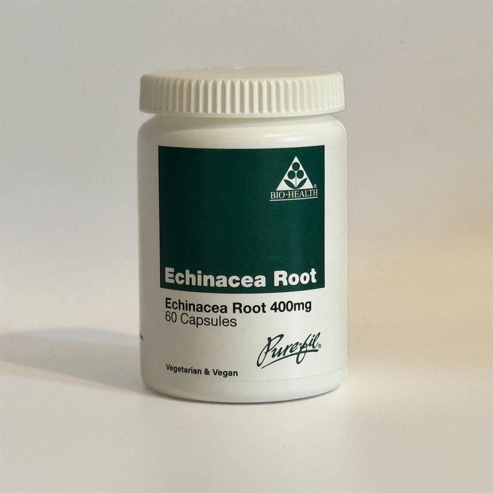 Echinacea Root