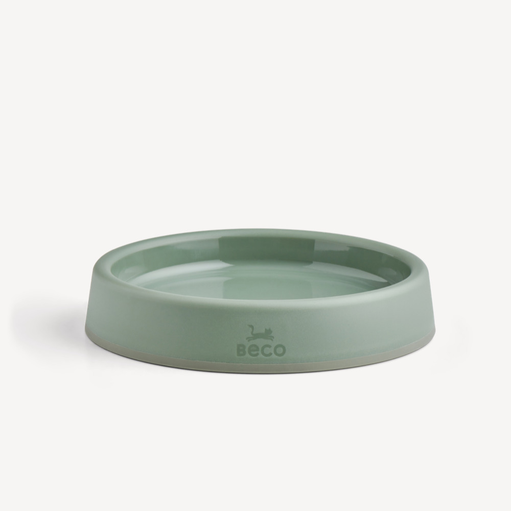 Steady Cat Bowl
