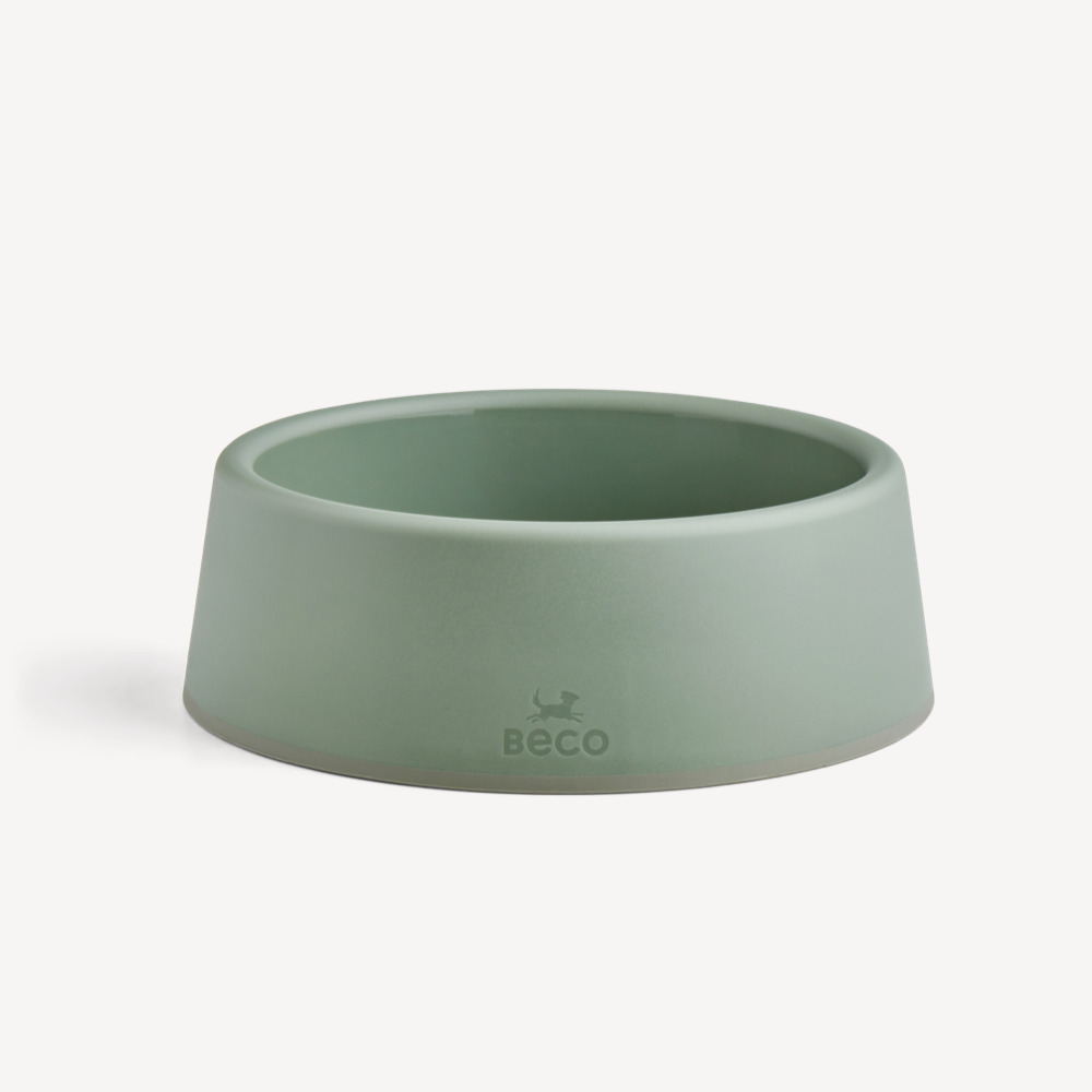 Steady Dog Bowl Small