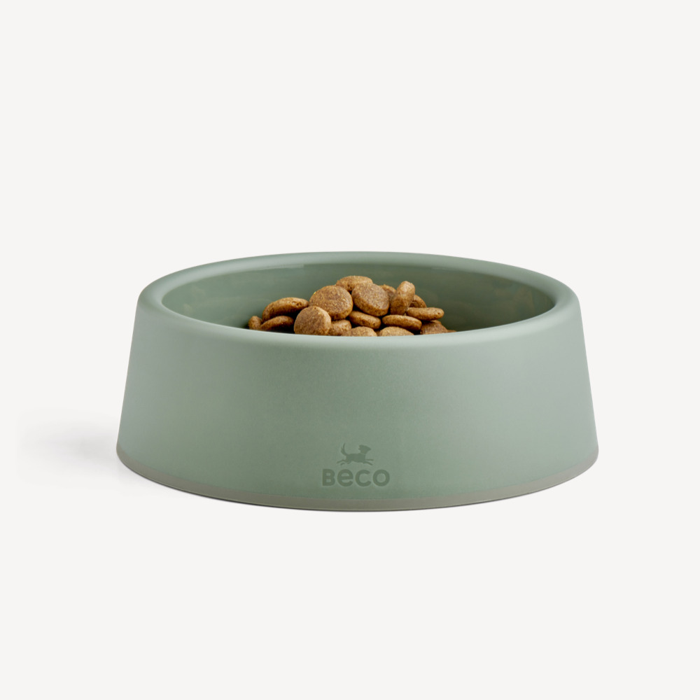 Steady Dog Bowl Large