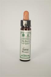 Gorse Bach Flower Remedy (Pack of 3)