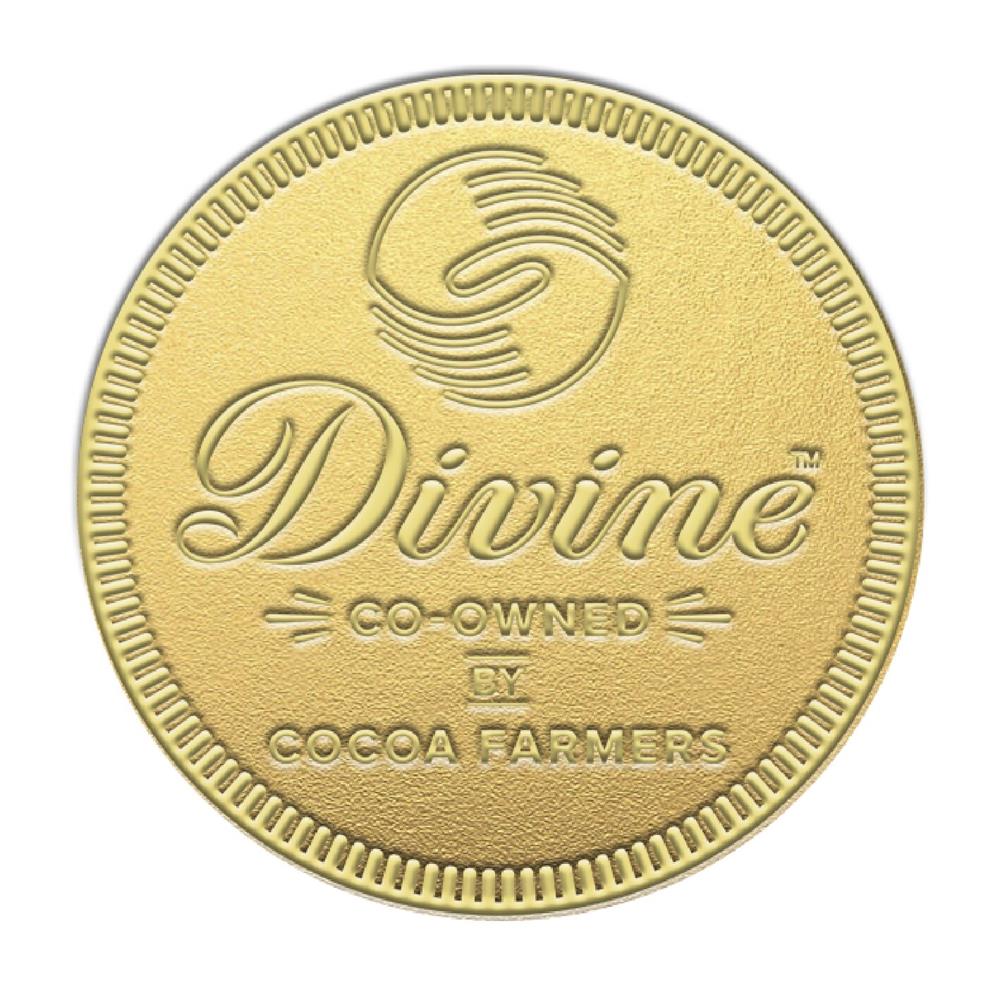 Giant Milk Chocolate Coin (Pack of 6)