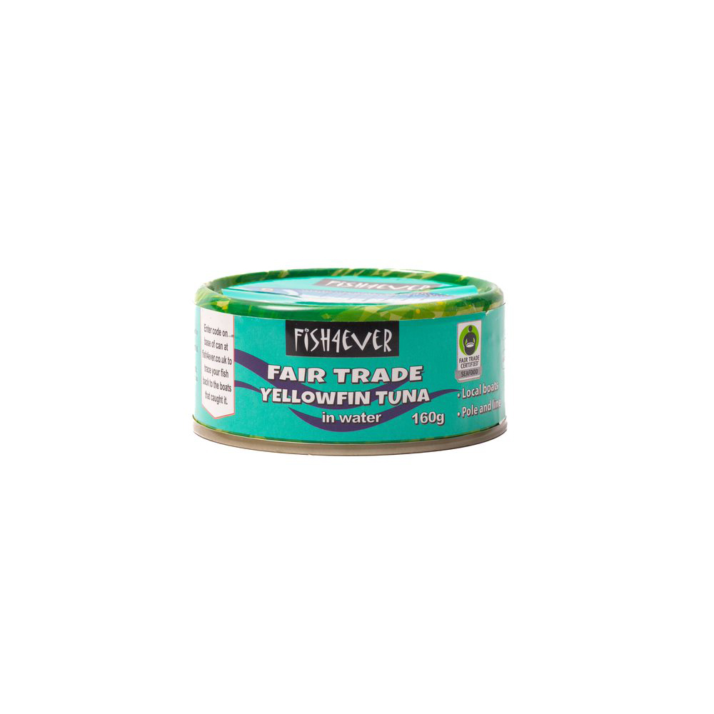 Yellowfin Tuna in Water