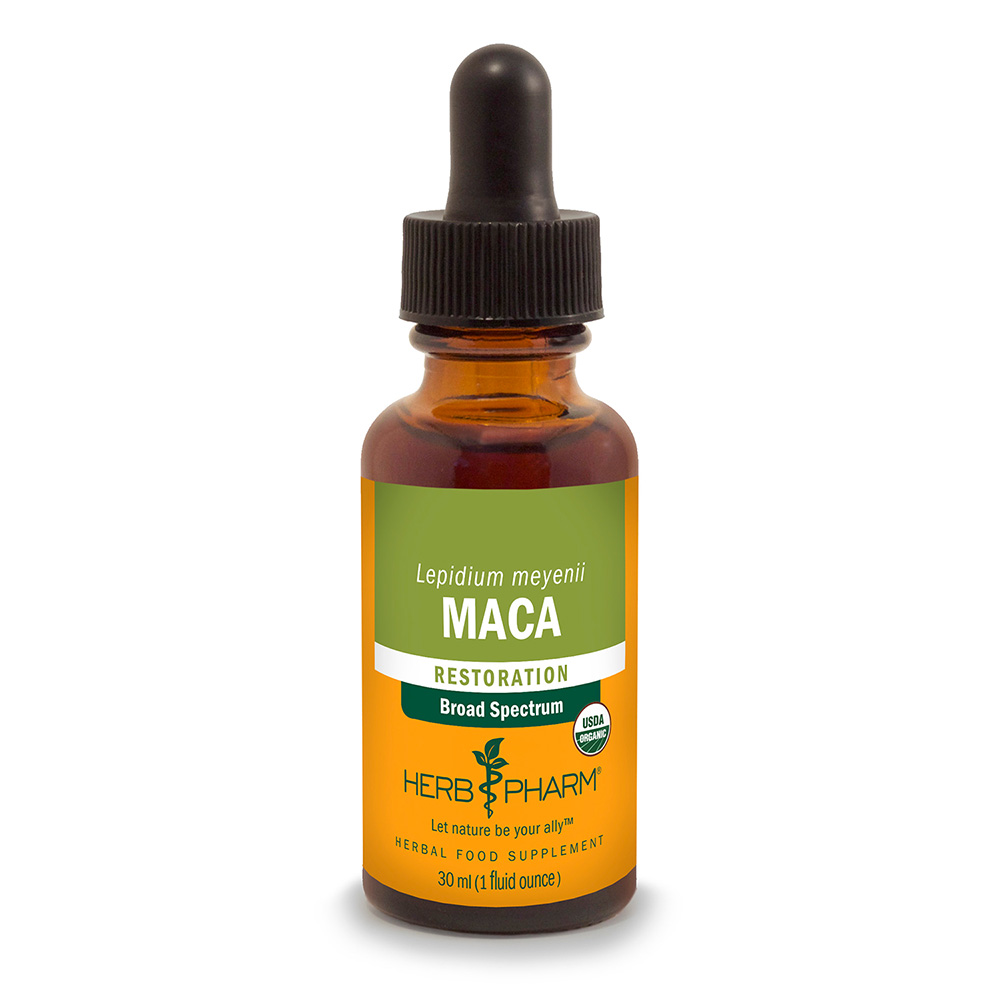 Maca Extract