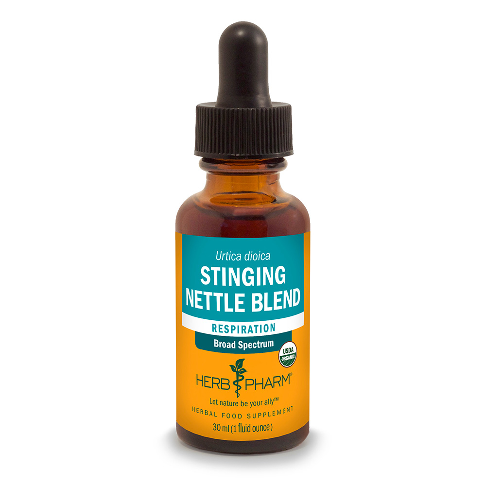 Stinging Nettle