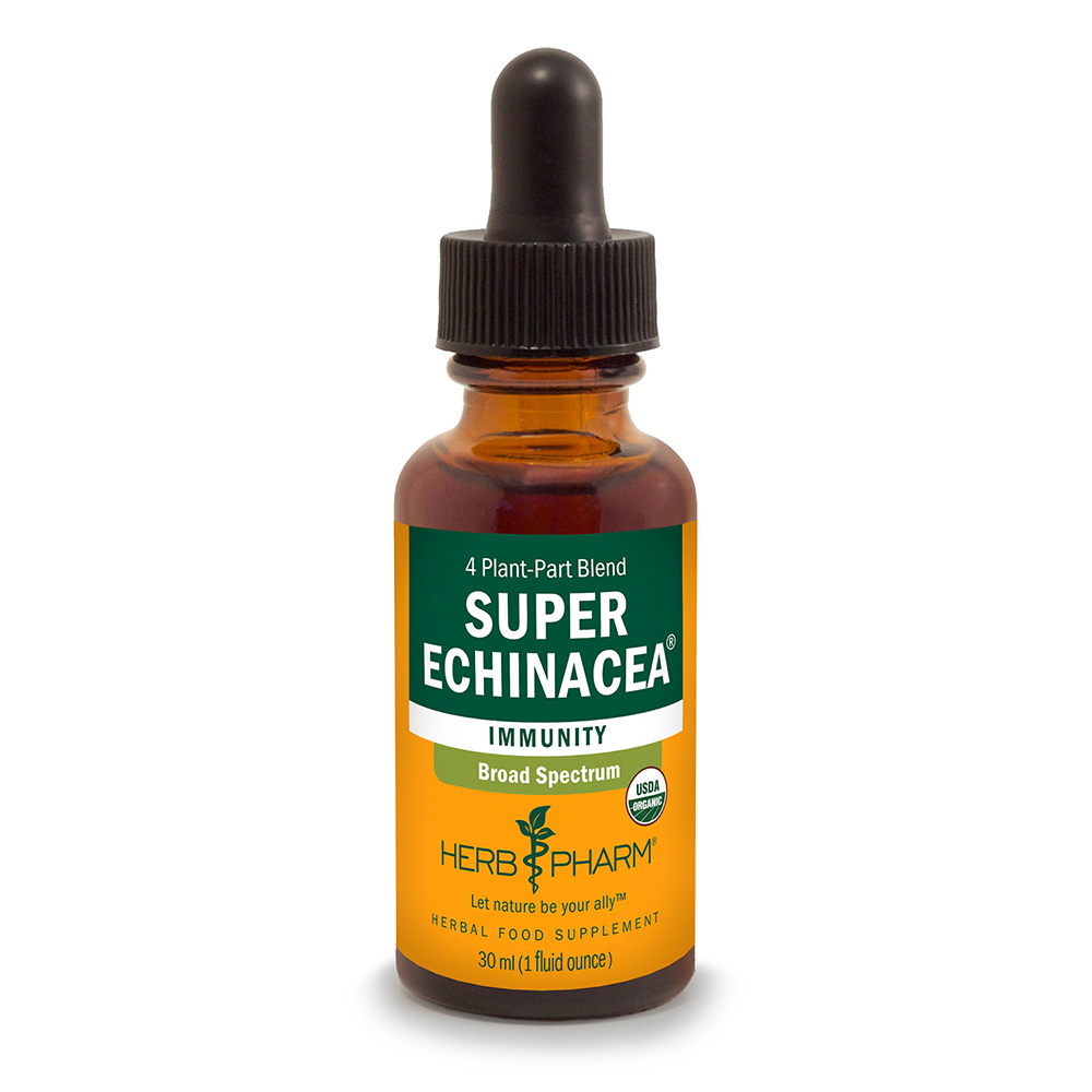 Super Echinacea