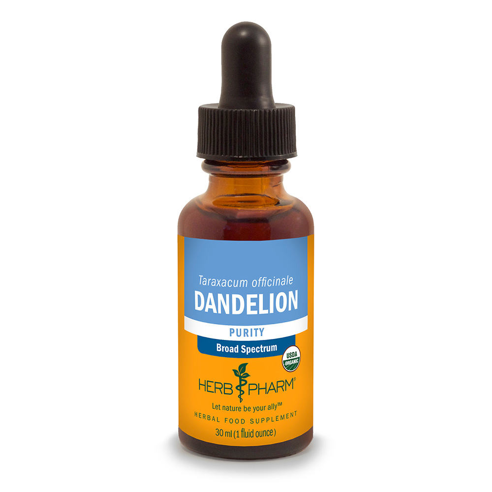 Dandelion