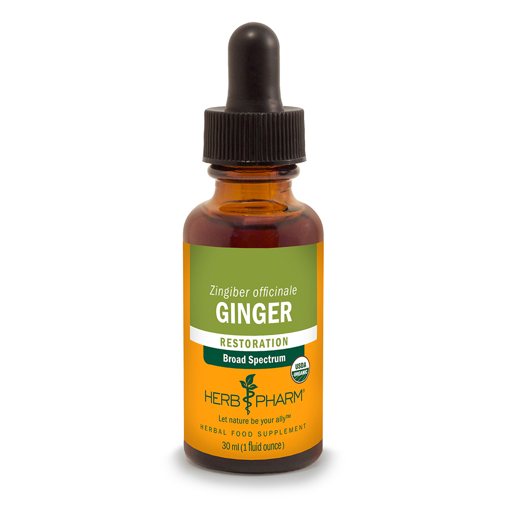 Ginger
