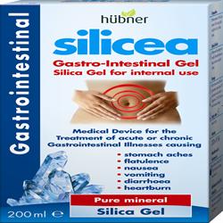 Silicea Gastrointestinal Gel