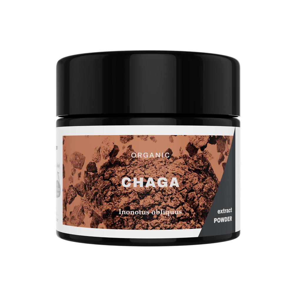 Chaga Extract Organic Powder