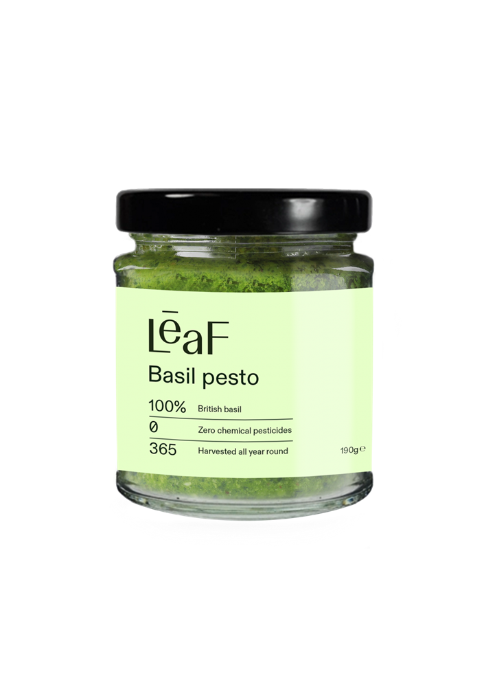 Leaf Basil Pesto