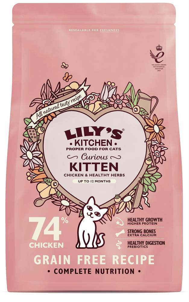 Cat Kitten Dry