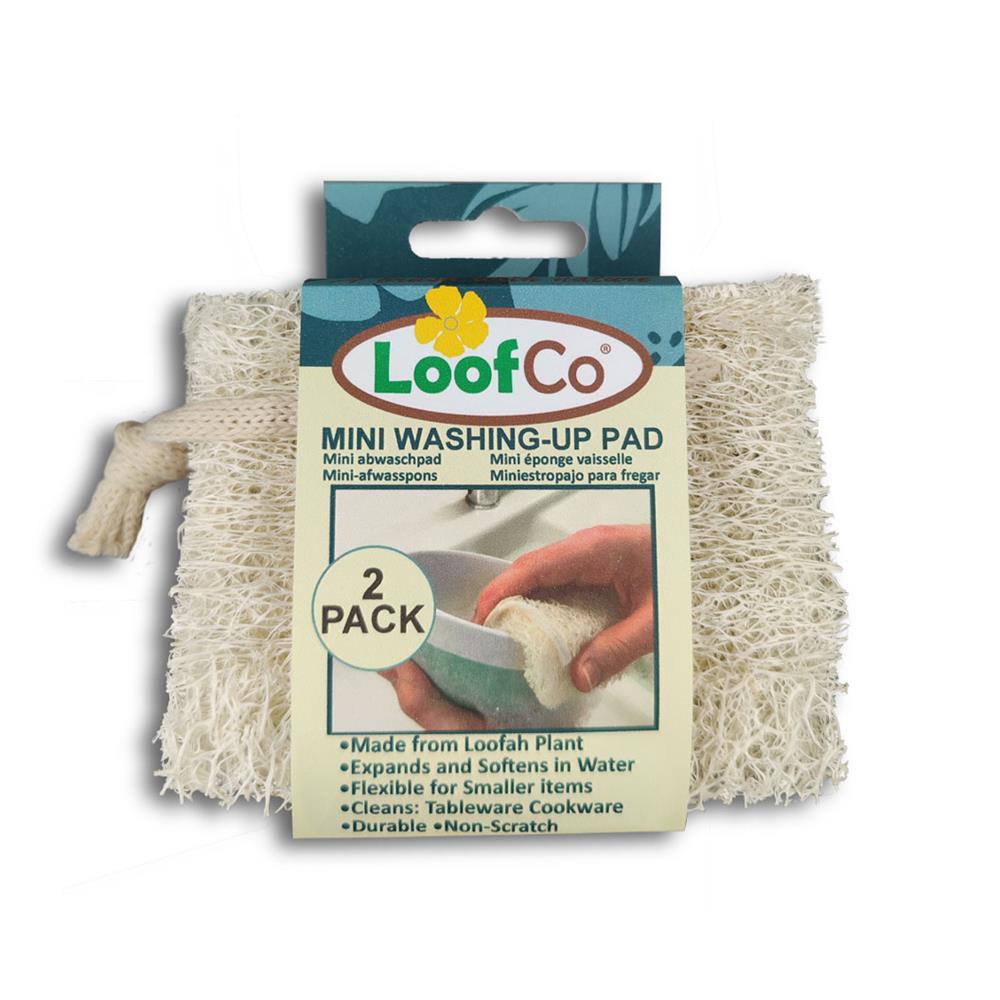 Mini-Washing-Up Pad 2 Pack