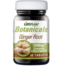 Ginger Root