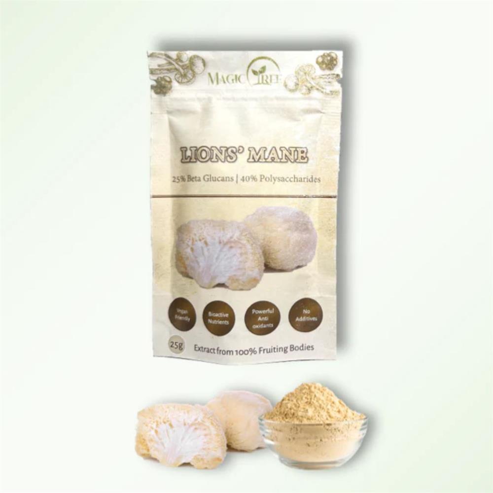 Lions Mane Mushroom Extract 25g