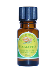 Eucalyptus Essential Oil Organ