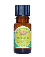 Rosemary Essential Oil Organic