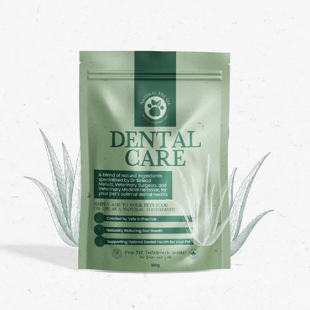 Dental Care 100g