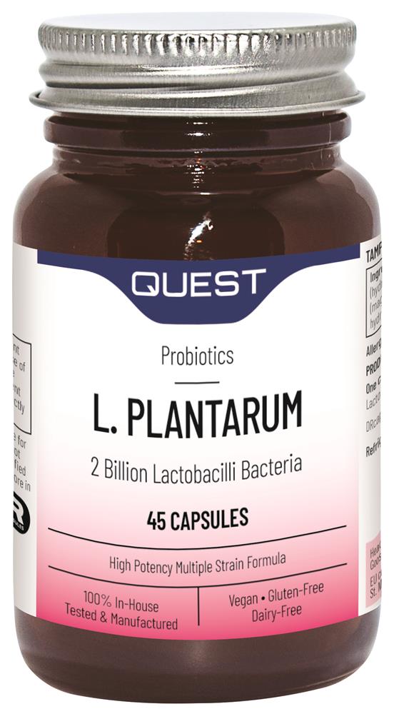 L Plantarum