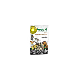 Porcini Mushrooms