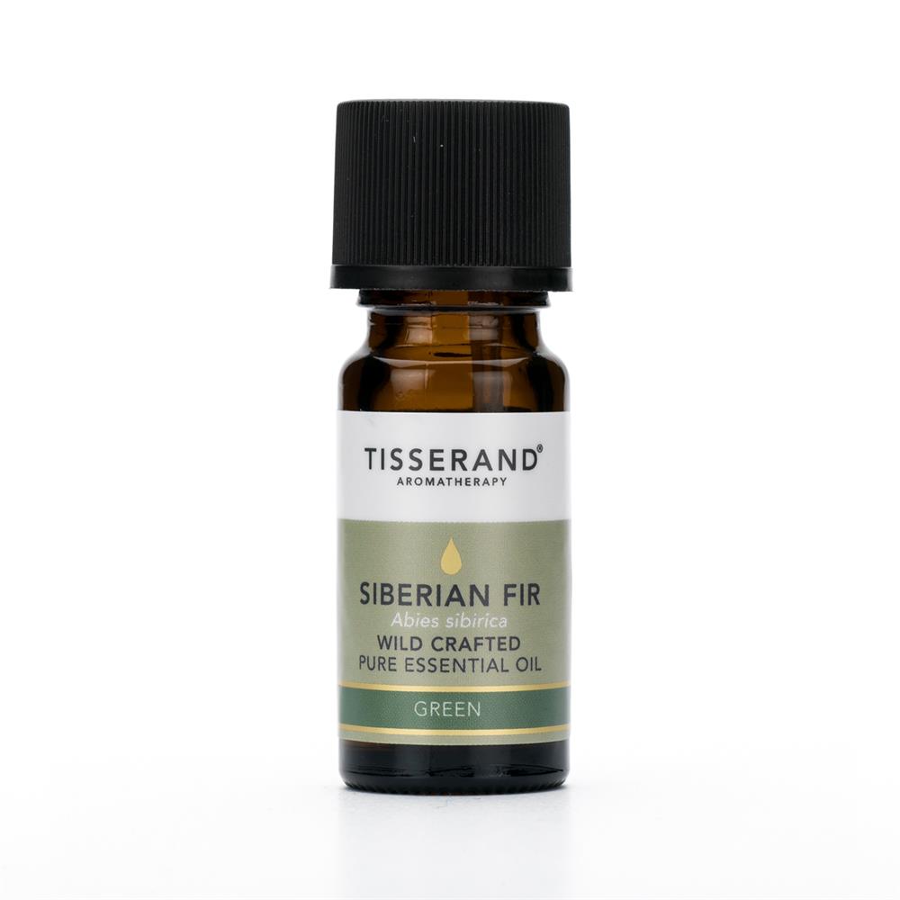Siberian Fir Wild
