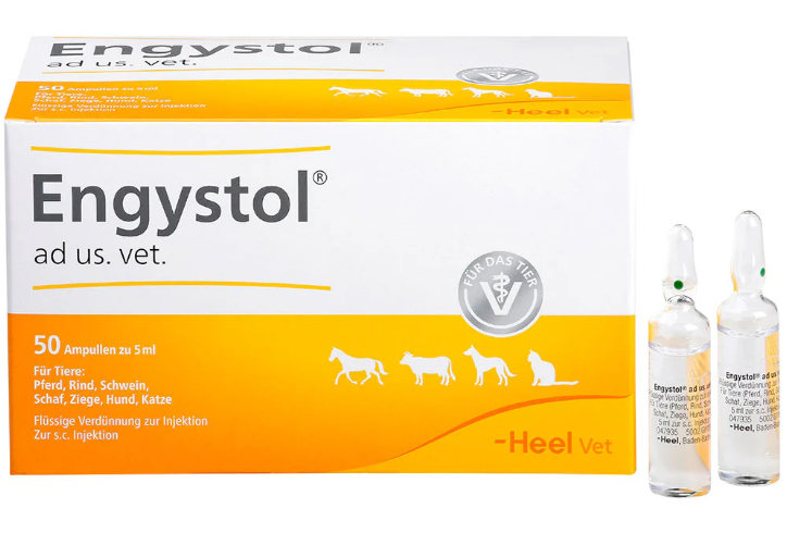 Engystol N ad.us.vet 5ml 50 Amps (Vet)