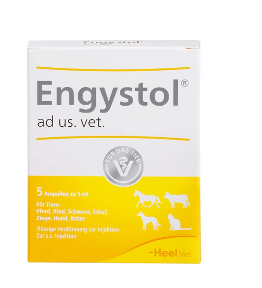 Engystol N ad.us.vet. 5ml 5 Amps (Vet)