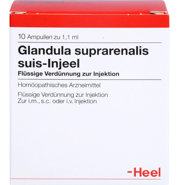 Glandula Supra Renalis Suis Injeel 10 Amps