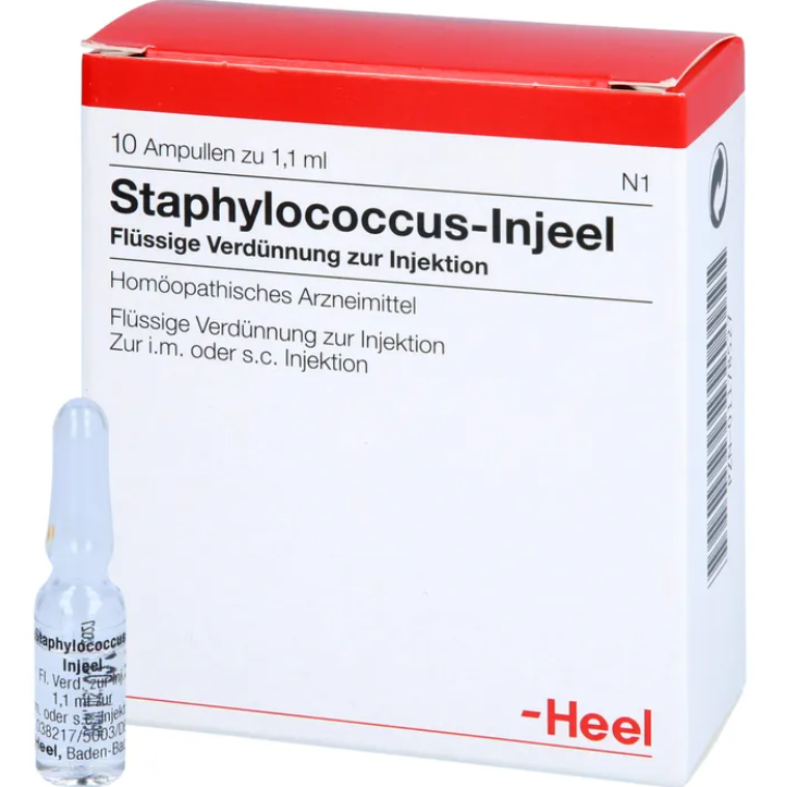 Staphylococcus 10 Amps