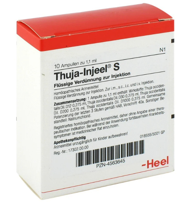 Thuja 10 Amps