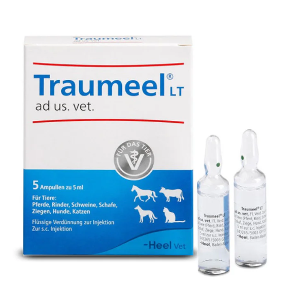 Traumeel ad.us.vet 5ml (Vet) German Version 5 Amps