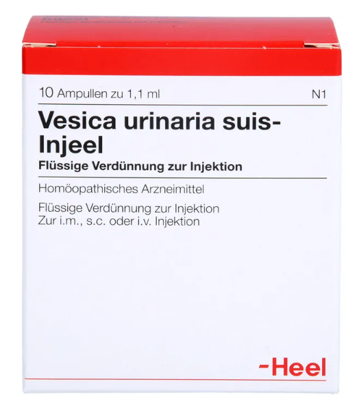 Vesica Urinaria Suis 10 Amps
