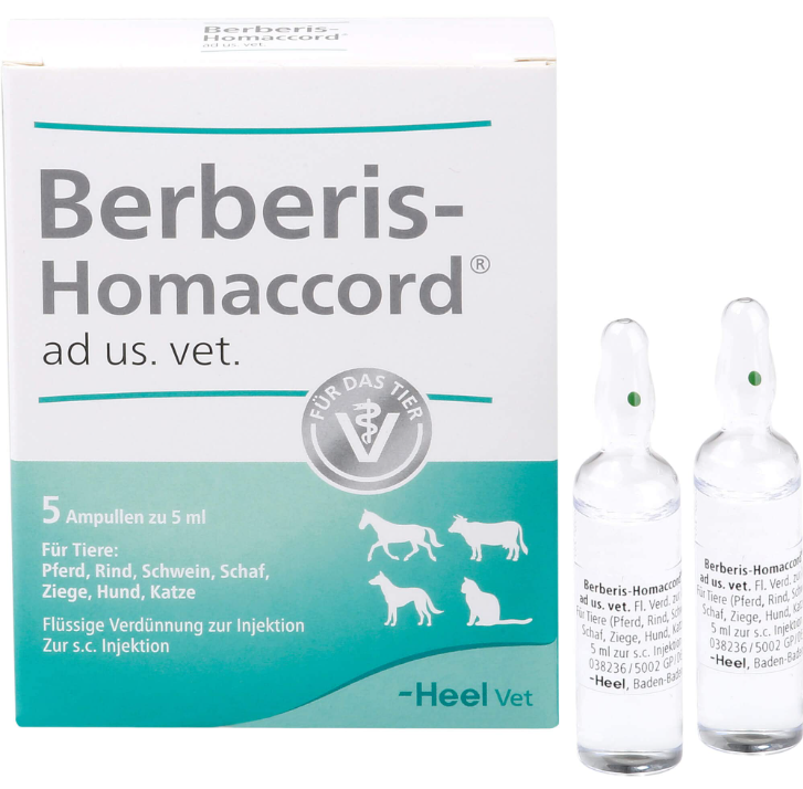 Berberis Homaccord ad.us.vet. 5ml 5 Amps (Vet)